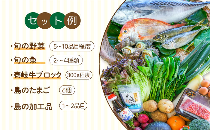 壱岐産 食材詰め合わせ 野菜と魚と壱岐牛   《壱岐市》【壱岐イルカパーク＆リゾート】[JBF014] セット・食べ比べ 42000 42000円