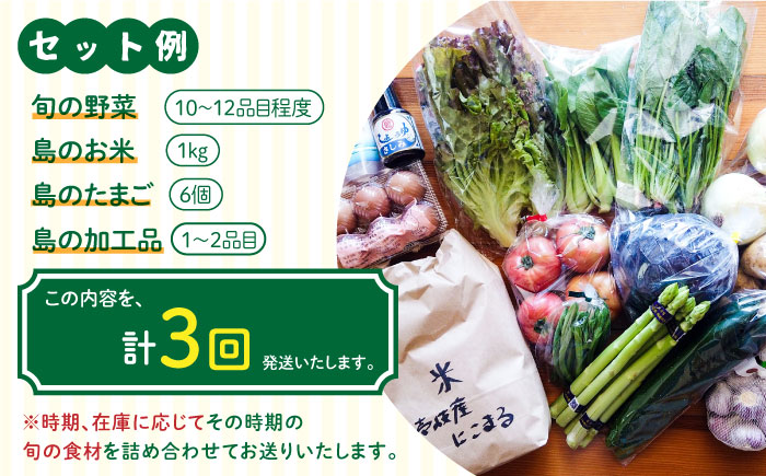 【全3回定期便】壱岐産食材詰め合わせBOX「野菜」 [JBF015] 69000 69000円