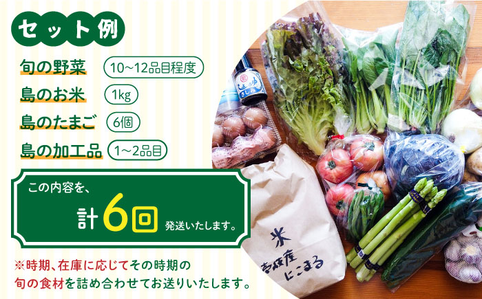 【全6回定期便】壱岐産食材詰め合わせBOX「野菜」 [JBF016] 138000 138000円