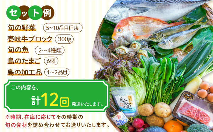 【全12回定期便】壱岐産食材詰め合わせBOX「野菜と魚と壱岐牛」 [JBF032] 壱岐牛 赤身 詰め合わせ 野菜 卵 鮮魚 セット 504000 504000円