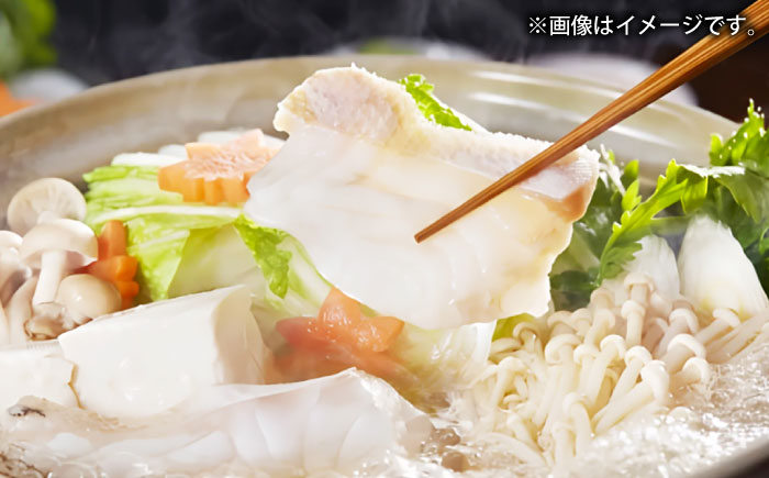 壱岐産　幻天然クエ　3枚おろし　10kg～15kg《壱岐市》 【みやげ処 縁由】 [JBJ021]