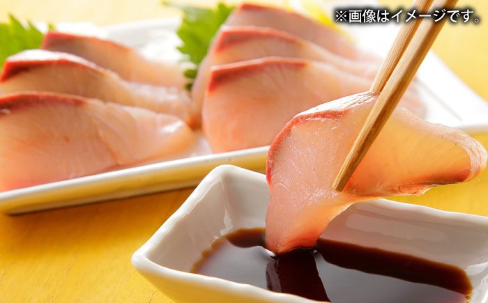 壱岐産　天然ブリ　丸ごと1本　8kg～10kg《壱岐市》 【みやげ処 縁由】 [JBJ031]