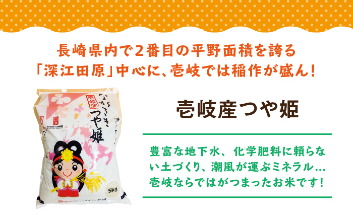 【R7年度産米】壱岐産 つや姫 5kg 《壱岐市》【壱岐市農業協同組合】[JBO024] 5キロ ご飯 ごはん お弁当 朝食 17000 17000円