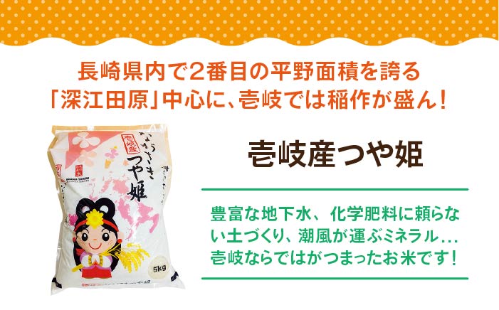 【全3回定期便】壱岐産 つや姫 5kg《壱岐市》【壱岐市農業協同組合】 [JBO056] 米 お米 白米 ご飯 ごはん 5キロ お弁当 朝食 定期便   51000 51000円