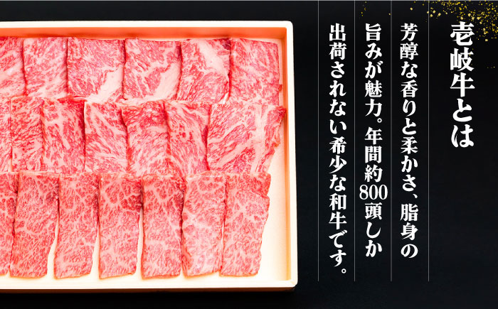 【全6回定期便】 《A4～A5ランク》壱岐牛 満足定期便《壱岐市》【壱岐市農業協同組合】 [JBO081]