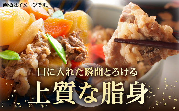 【全2回定期便】壱岐牛切り落とし 500g [JBO118] 26000 26000円