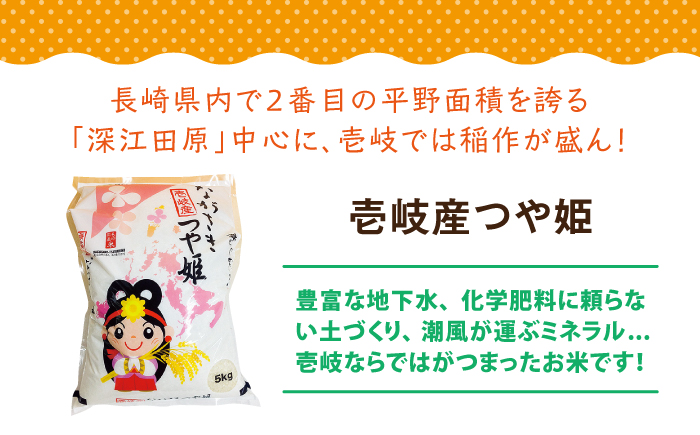 【全2回定期便】壱岐産　つや姫　5kg《壱岐市》【壱岐市農業協同組合】米 お米 ごはん 甘み 旨味 [JBO135] 34000 34000円