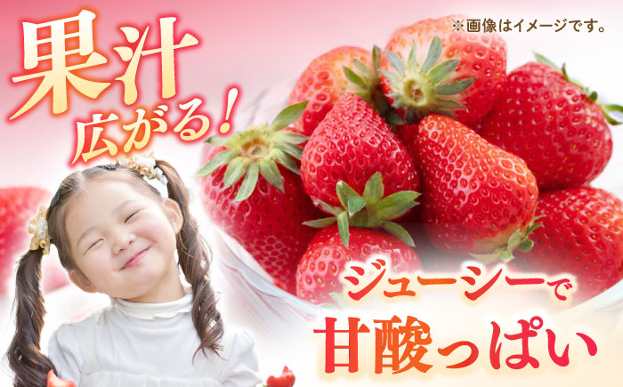 【先行予約】【2026年3月以降順次発送】壱岐市産 いちご ゆめのか 1kg（250g×4パック）《壱岐市》【壱岐市農業協同組合】 イチゴ フルーツ 果物 スムージー 完熟 春 先行予約 数量限定 [JBO138] 12000 12000円