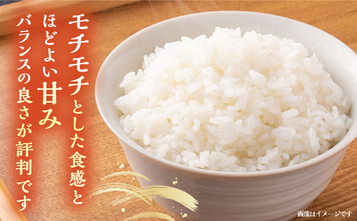 壱岐産米 こしひかり 10kg 《壱岐市》【壱岐市農業協同組合】[JBO145]