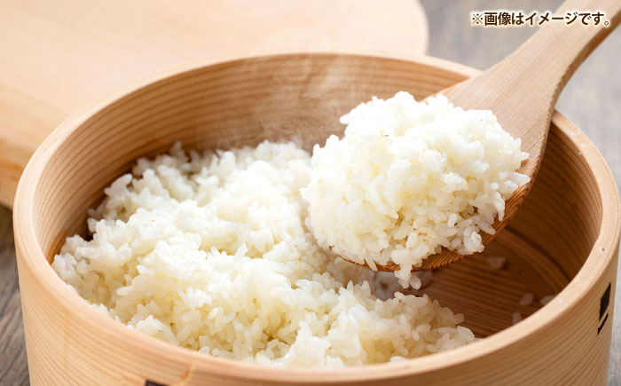 壱岐産米 なつほのか 5kg《壱岐市》【壱岐市農業協同組合】[JBO149]