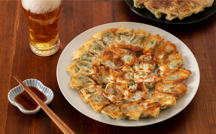 ひとくち餃子18個入×5パック《壱岐市》【壱岐市農業協同組合】 [JBO150] 総菜・レトルト