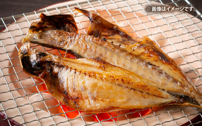 壱岐の海の幸 干物セット《壱岐市》【壱岐市農業協同組合】あじ アジ 鯵 かます カマス いか イカ 烏賊 干物 ひもの 干物セット 冷凍配送 [JBO153]