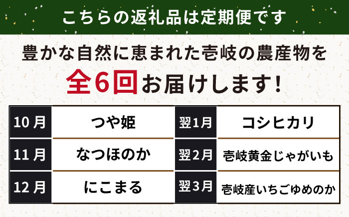 【先行予約】【全6回定期便】壱岐産農産物定期便【2025年10月下旬以降順次発送】《壱岐市》【壱岐市農業協同組合】米 コシヒカリ じゃがいも いちご 野菜 セット [JBO159]