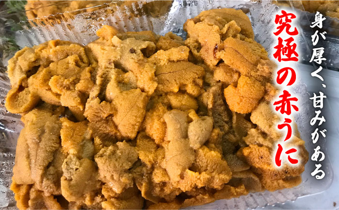 壱岐産 希少 赤うに (かきおとし)《壱岐市》【壱岐島　玄海屋】[JBS001] うに 雲丹 ウニ 赤うに 赤ウニ 51000 51000円