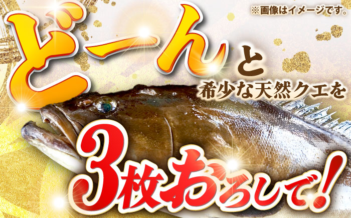 天然クエ（14キロ台・3枚おろし） 《壱岐市》【壱岐島　玄海屋】[JBS067] 魚 刺身 しゃぶしゃぶ  1030000 1030000円 103万円