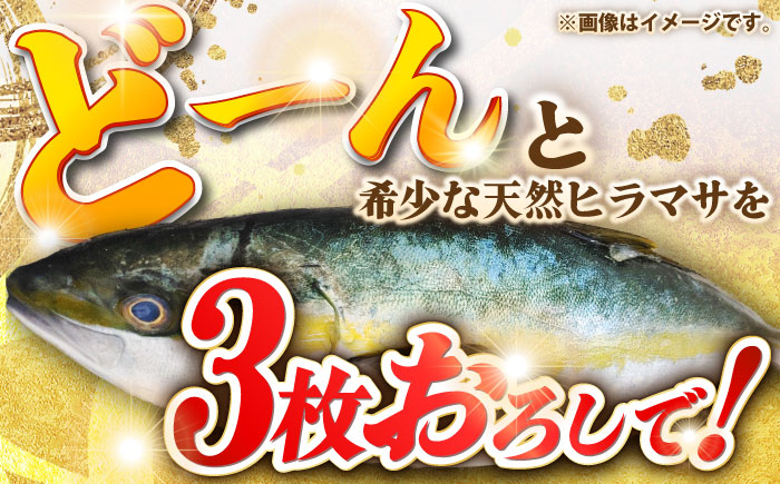 壱岐島産天然ヒラマサ（4キロ台・三枚おろし） 《壱岐市》【壱岐島　玄海屋】[JBS077] ヒラマサ 魚 刺身 煮物 カルパッチョ お寿司  70000 70000円