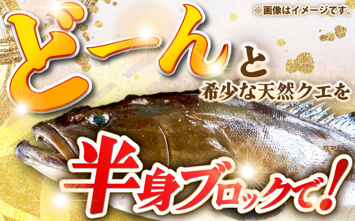 天然クエ（一本丸ものサイズ 7キロ台・半身ブロック） [JBS097] 280000 280000円 28万円