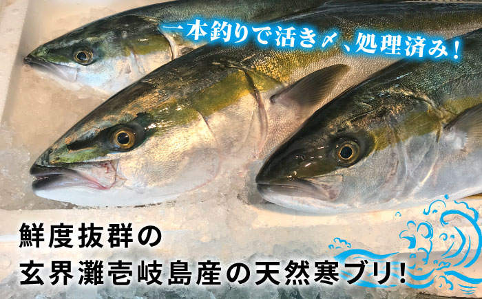 【1/16～3月末お届け】天然 寒ブリ（一本丸ものサイズ11キロ台 半身ブロック）《壱岐市》【壱岐島 玄海屋】 [JBS101] 92000 92000円