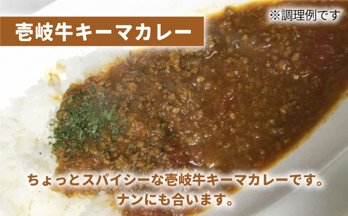 壱岐牛 煮込みハンバーグ キーマカレー セット 200g 5個《壱岐市》【壱岐味噌工房】[JBW005] 36000 36000円 加工品