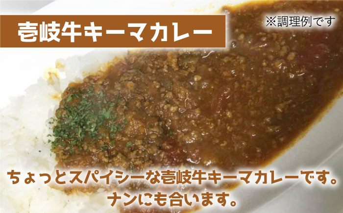 【全3回定期便】壱岐牛キーマカレー [JBW026] 108000 108000円