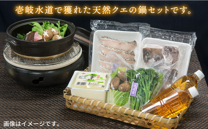 鍋 天然クエの鍋セット 《壱岐市》【一支國屋】[JCC001] 30000 30000円