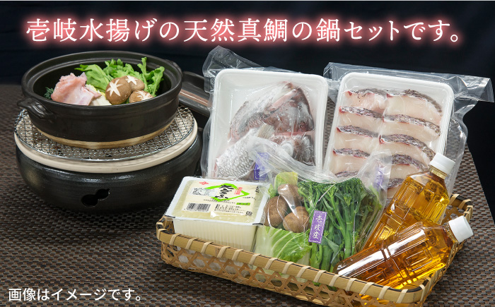 タイ 鍋 天然真鯛の鍋セット 《壱岐市》【一支國屋】[JCC002] 16000 16000円 海産物