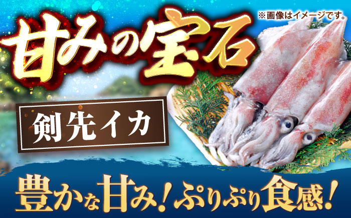 【冷凍】剣先イカ 刺身用 1kg　剣先烏賊 《壱岐市》 【一支國屋】海鮮 烏賊 イカ いか 剣先イカ 冷凍配送 [JCC021]