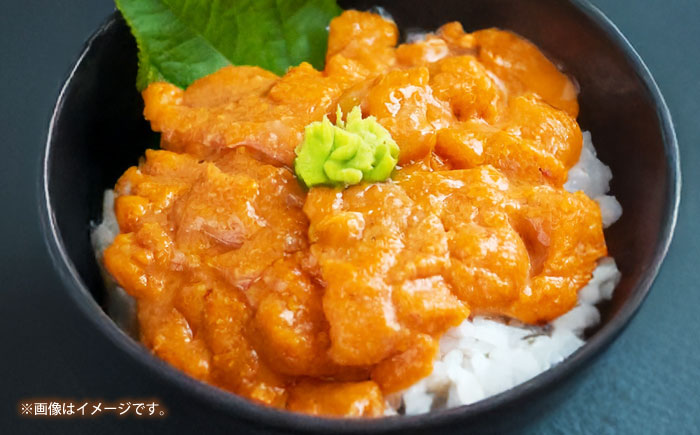 【冷凍】壱岐産うに丼セット　40g×5食　《壱岐市》　【一支國屋】 [JCC022]