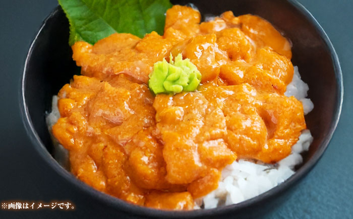 【2回定期便】 壱岐産 うに丼セット アオリイカ 月替わり 定期便 《壱岐市》 【一支國屋】海鮮 うに うに丼 いか イカ アオリイカ 刺身 お刺身 冷凍配送 [JCC026]