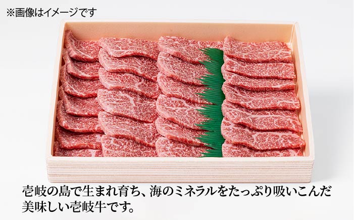 【全3回 定期便 】お肉 壱岐牛 焼き肉セット 500g 《 壱岐市 》 【ヤマグチ】[JCG054] 60000 60000円