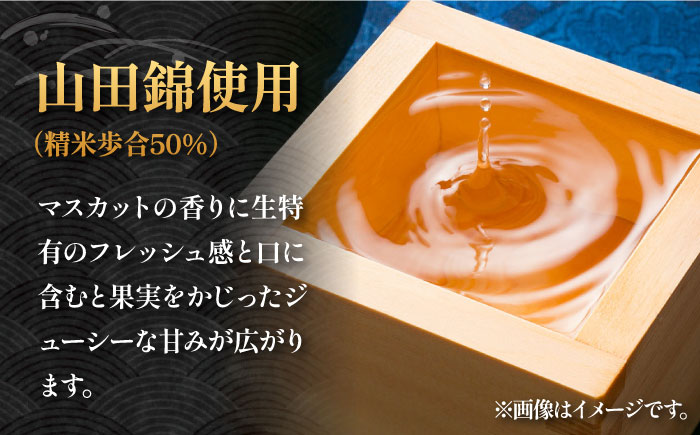 純米大吟醸 横山五十WHITE 直汲み生 720ml《壱岐市》【ヤマグチ】 [JCG121]  日本酒