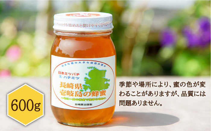 ニホンミツバチ 生蜂蜜 600g×1 《壱岐市》【憲ちゃんハチミツ】[JCL001] はちみつ 蜂蜜 日本蜜蜂 30000 30000円
