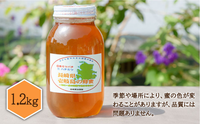 ニホンミツバチ 生蜂蜜 1,200g×1 《壱岐市》【憲ちゃんハチミツ】[JCL003] はちみつ 蜂蜜 日本蜜蜂 58000 58000円