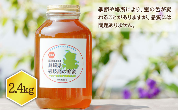 ニホンミツバチ 生蜂蜜 2,400g×1 《壱岐市》【憲ちゃんハチミツ】[JCL004] はちみつ 蜂蜜 日本蜜蜂 114000 114000円