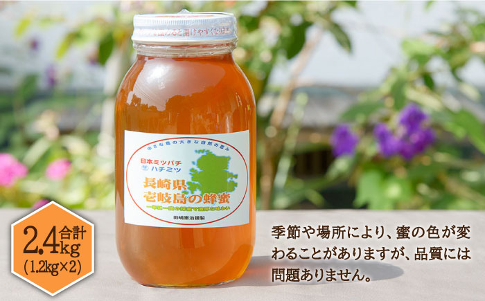 ニホンミツバチ 生蜂蜜 1,200×2（化粧箱付き） 《壱岐市》【憲ちゃんハチミツ】[JCL008] はちみつ 蜂蜜 日本蜜蜂 ギフト プレゼント 贈り物 化粧箱 117000 117000円