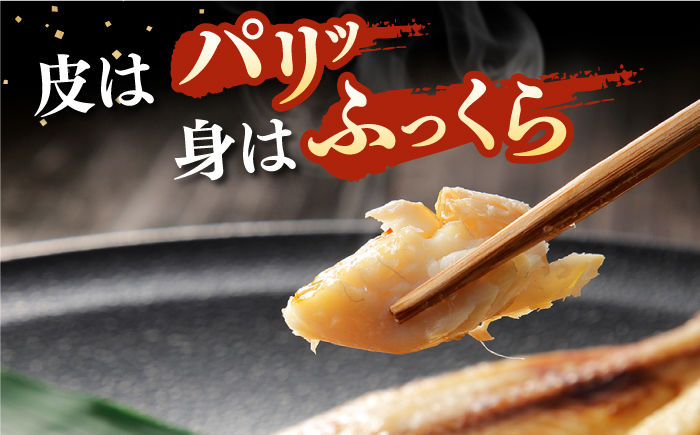 【全2回定期便】旬の海産物セットB《壱岐市》【朝市　マルミ海産物】タイ アジ カマス 開き みりん干し 魚 [JCY021]