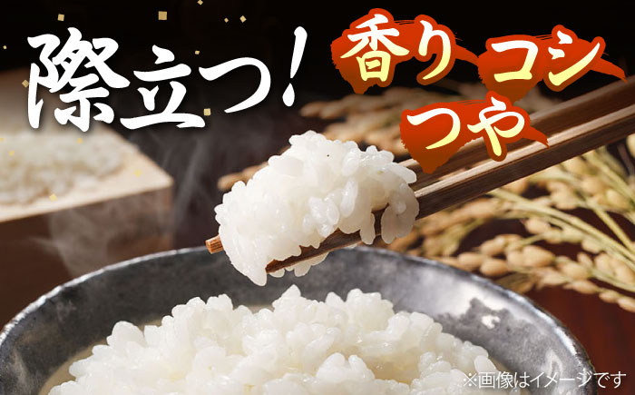 【R6年度産】天日自然乾燥米 壱岐産米セット 各5kg（こしひかり・にこまる） 《壱岐市》【長米壱岐営業所】[JCZ002] ご飯 ごはん 10kg 10キロ 特A