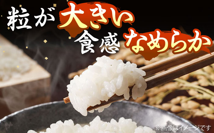 【R6年度産】なつほのか 10kg [JCZ015] 米 ごはん ご飯 なつほのか 特A 31000 31000円