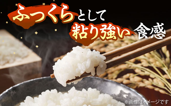 【R6年度産】にこまる 5kg《 壱岐市 》【長米壱岐営業所】[JCZ023]  ごはん ご飯 にこまる 特A 20000 20000円