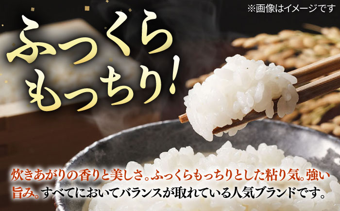 【全3回定期便】 壱岐産米 こしひかり 5kg 《壱岐市》【長米壱岐営業所】 [JCZ031]