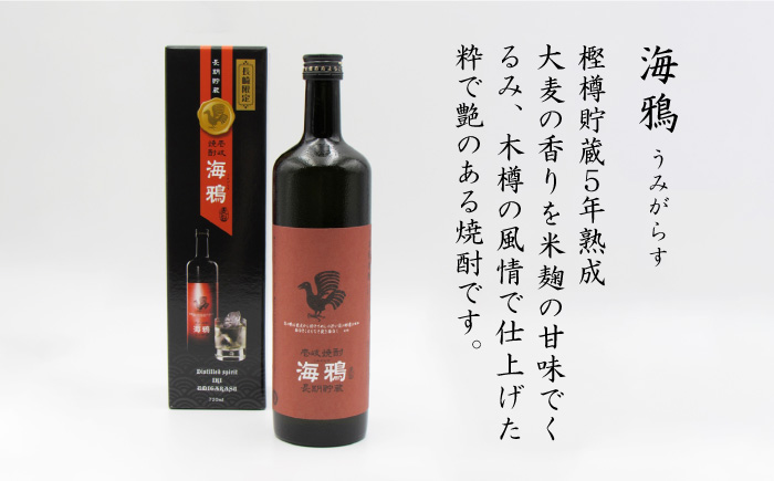 【全6回 定期便 】麦焼酎 海鴉 25度 720ml 2本入りセット 《 壱岐市 》【天下御免】[JDB111] 96000 96000円