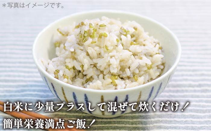 【予約受付中】  緑米 3kg （1kg入り × 3袋） 原の辻遺跡《壱岐市》【天下御免】 [JDB124] 13000 13000円