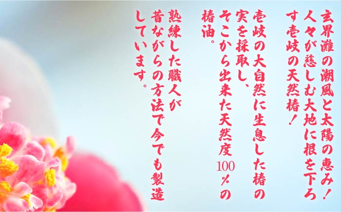 食用 椿油 120ml × 2本 天然 ヤブ椿油《壱岐市》【天下御免】 [JDB128] 13000 13000円 食用油