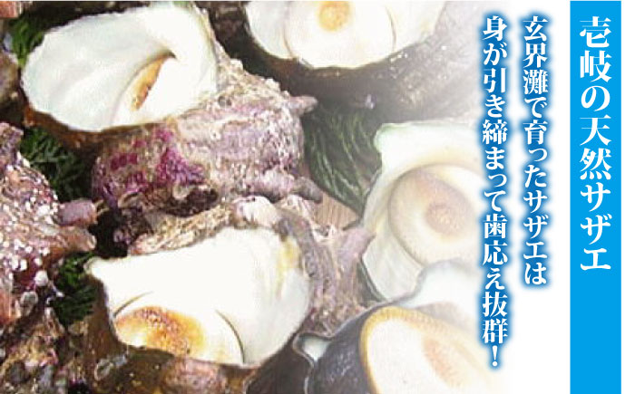 【全3回定期便】秘伝のタレ サザエのつぼ焼き 6個×3パック（計18個） [JDB129] 54000 54000円