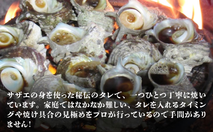 【全3回定期便】焼酎とサザエのつぼ焼きセット [JDB156] 42000 42000円