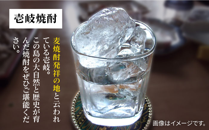 【全3回定期便】 麦焼酎 壱岐の島 25度 1800ml 紙パック 6本 《壱岐市》【天下御免】 むぎ焼酎 焼酎 麦 酒 お酒 [JDB332]   100000 100000円 10万円