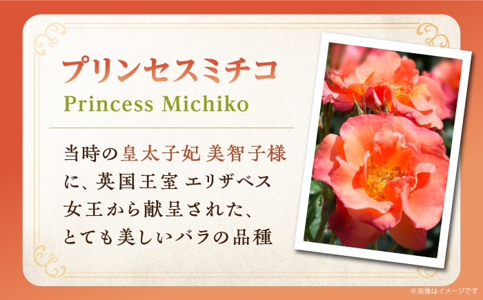 純米大吟醸 Princess Michiko 720ml（16度）《壱岐市》【天下御免】 横山蔵 重家酒造 日本酒 酒 お酒 純米 大吟醸 大吟醸酒 17000 17000円 [JDB359]