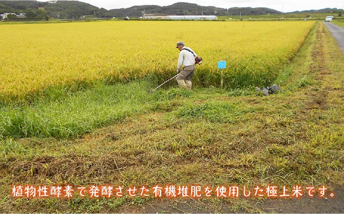 【先行予約】【全3回定期便 】お米 5kg なつほのか 酵素米【2026年1月以降順次発送】 《 壱岐市 》【農事組合法人 原の辻】[JDG003] 51000 51000円