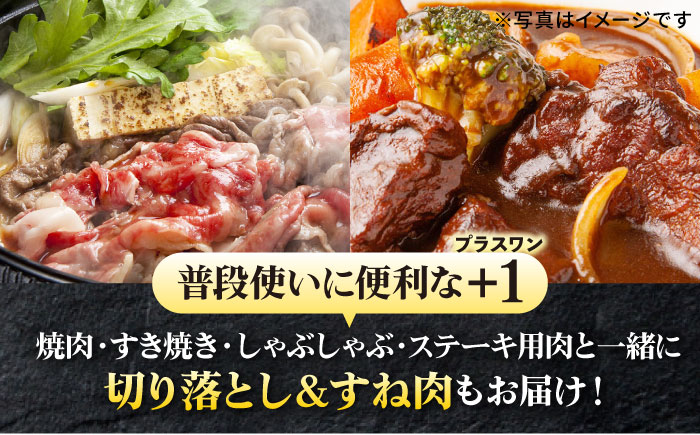 【全4回定期便】 特選 壱岐牛 プラスワン（＋1） 定期便 《壱岐市》【太陽商事】[JDL096] ステーキ サーロイン モモ 焼肉 すき焼き しゃぶしゃぶ 153000 153000円 15万円