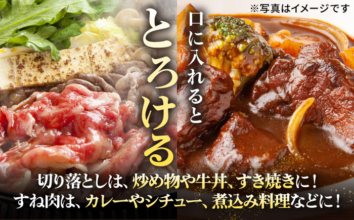 特選 壱岐牛 切り落とし（450g）＆すね肉（300g） 《壱岐市》【太陽商事】[JDL098] 切り落とし しゃぶしゃぶ すき焼き シチュー カレー 19000 19000円